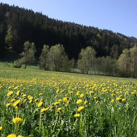 Dahoam - Exklusivitaet Mit Privatsphaere
